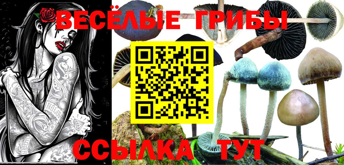 Галлюциногенные грибы GOLDEN TEACHER Набережные Челны